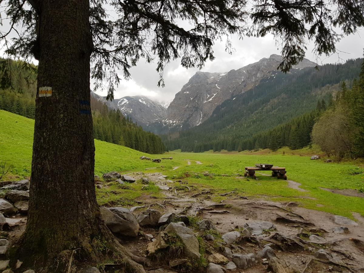 Spanie Po Zboju Koscielisko Bagian luar foto
