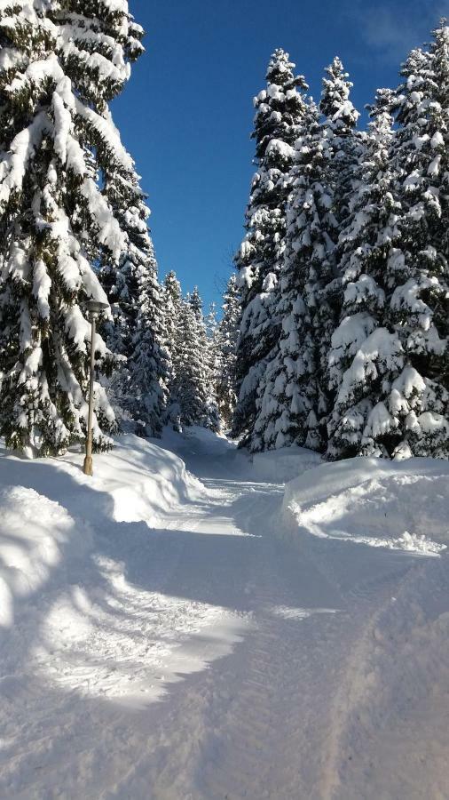 Spanie Po Zboju Koscielisko Bagian luar foto