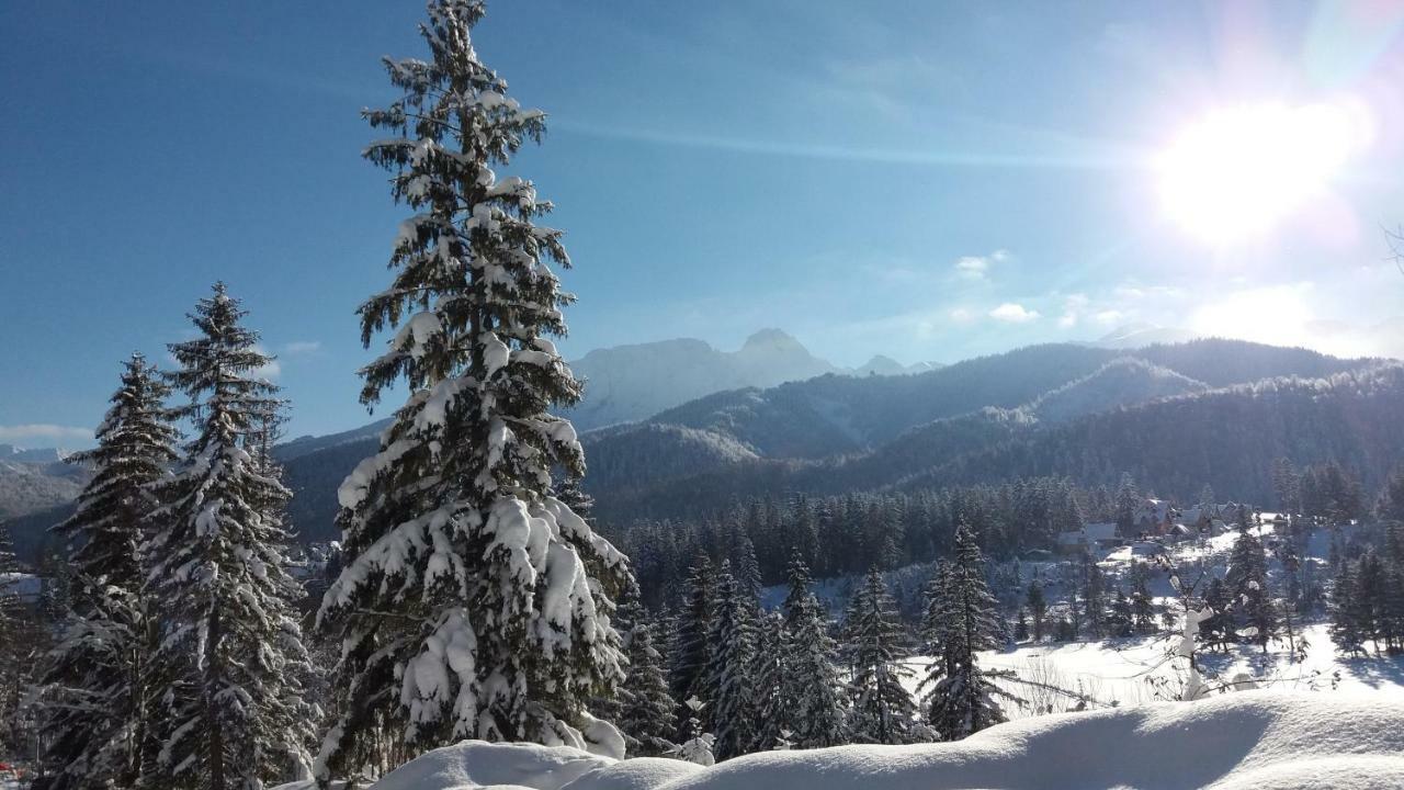 Spanie Po Zboju Koscielisko Bagian luar foto